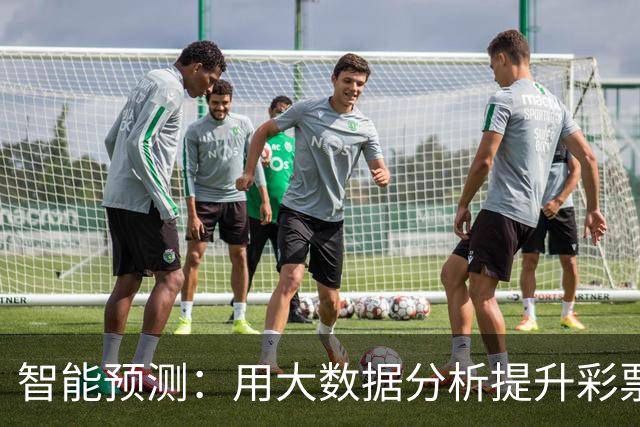 智能预测：用大数据分析提升彩票精准度